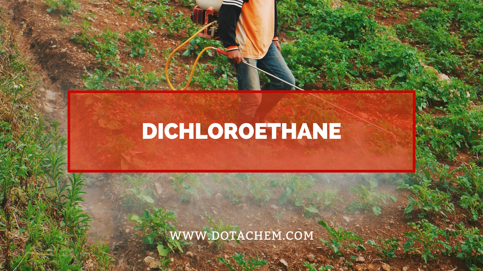 Buka kunci solusi industri yang sangat efisien untuk dichloroethane dalam berbagai aplikasi