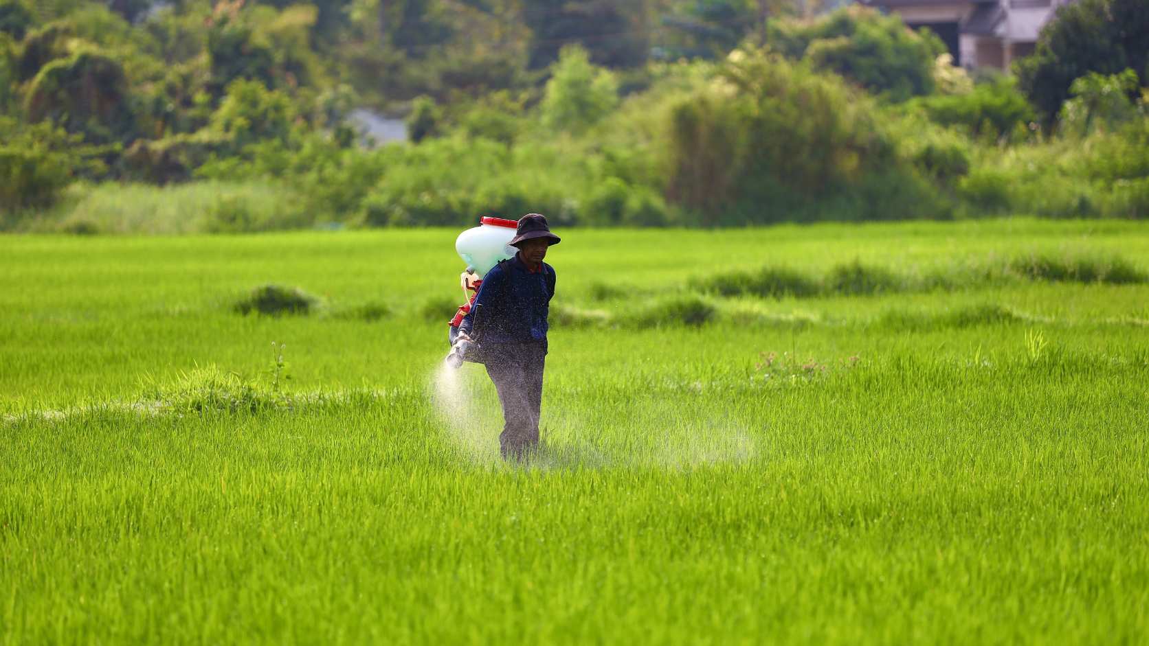 Apa Kegunaan Monoetanolamina dalam Bahan Kimia Pertanian?